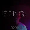 Oryx - Erfolg Ist Kein Glück - Single